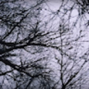 Meet your Posher, Alexandria